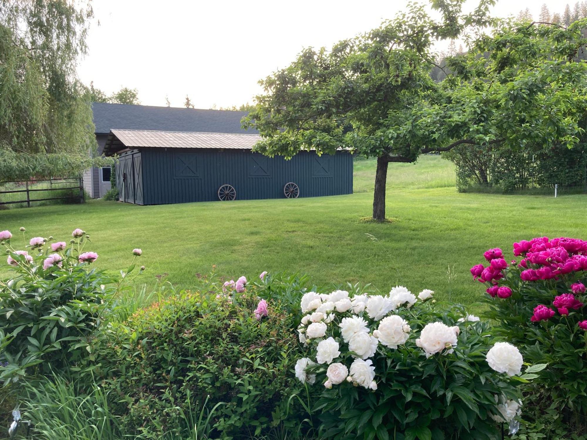 Гостьовий будинок Hideaway Ranch Боннерс-Феррі Екстер'єр фото